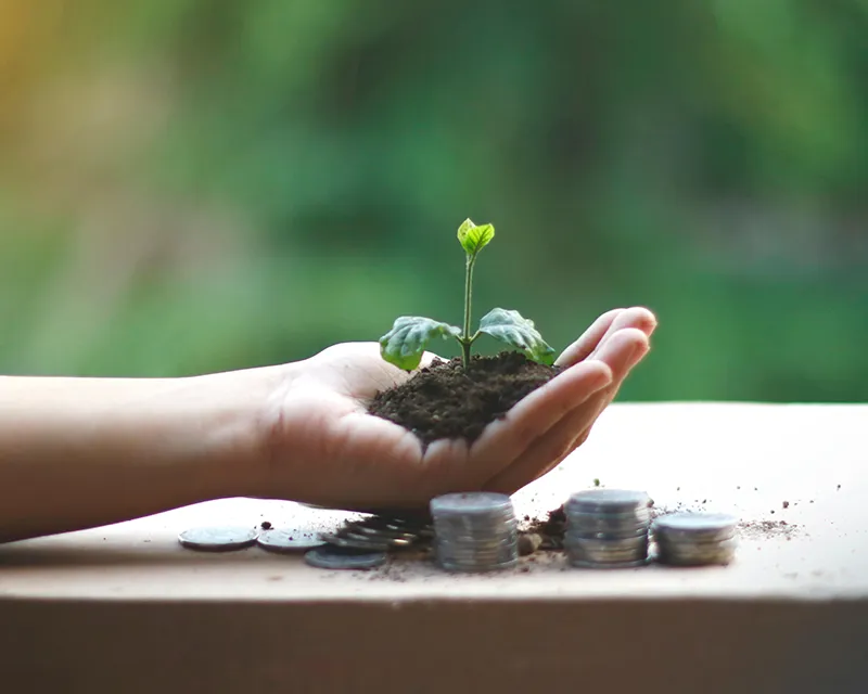 Healing the Split Regarding Money and Fulfillment