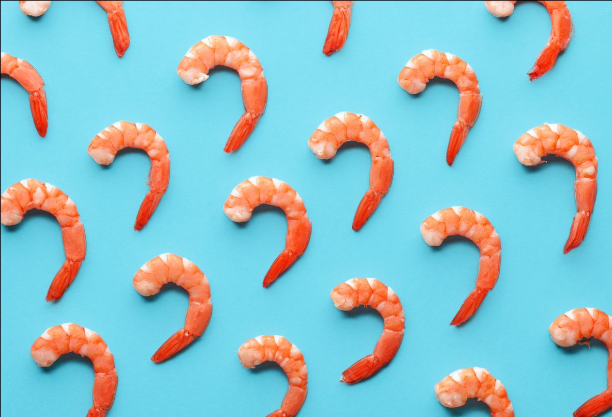Climate Change Will Make Seafood Scarcer and More Dangerous
