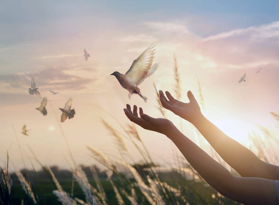 Transforming Emotional and Spiritual Standards